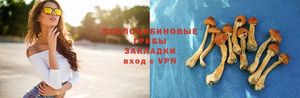 ALPHA PVP Лиски