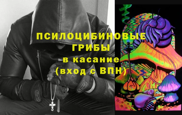 эйфоретик Богданович