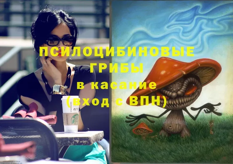 Галлюциногенные грибы Magic Shrooms  Чишмы 